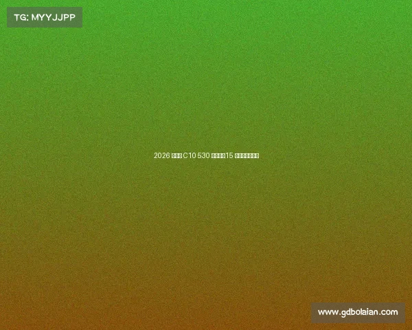 2026 款零跑 C10 530 舒享版:15 万级的惊喜之选 2026 款零跑 C10 530 舒享版:15 万级的惊喜之选